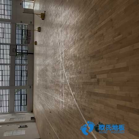 學(xué)?；@球館地板木紋型