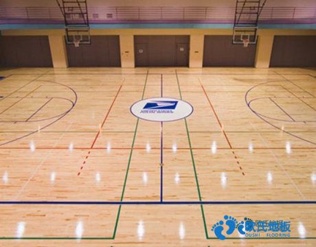 體育運(yùn)動地板哪個牌子性價比高